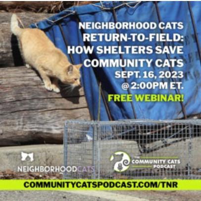 Return to Field: How Shelters Save Community Cats Webinar flyer
